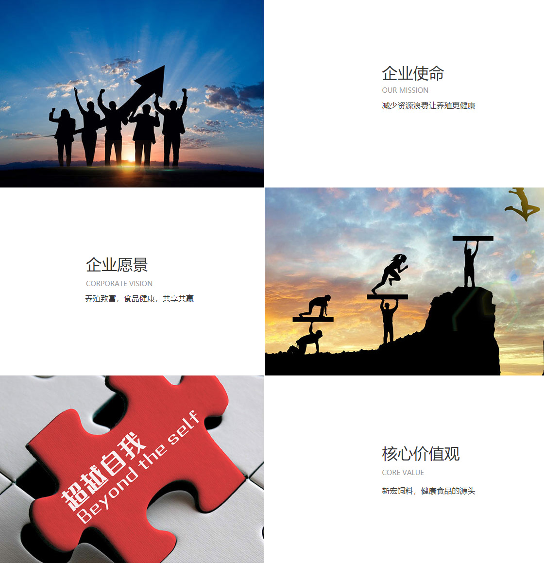 j9九游会官方登录入口(图1)